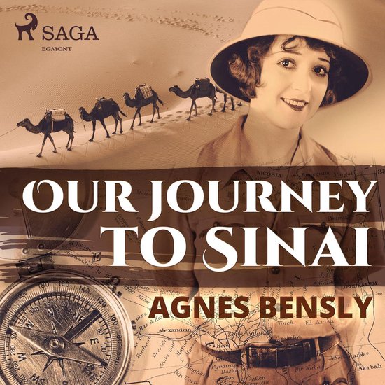 Our Journey to Sinai - cover
