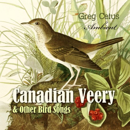 Canadian Veery and Other Bird Songs - cover