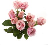 Roos Pink Avalanche Small (10 stuks)(Roos Pink Avalanche Small (10 stuks))