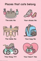 Pyramid Pusheen Places Cats Belong Poster 61x91,5cm