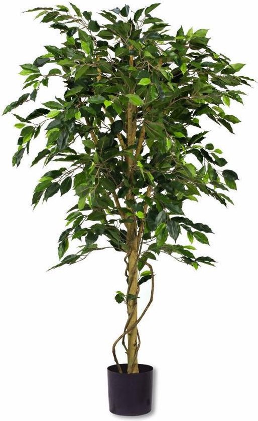 Kunstplant Ficus Groen 150 Cm - Kunst Kamerplant | bol.com