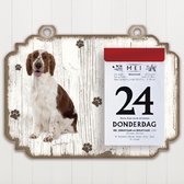 Scheurkalender 2023 Hond: Welsh Springer Spaniel