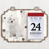 Scheurkalender 2023 Hond: Bolognezer