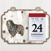 Scheurkalender 2023 Hond: Bergamasco