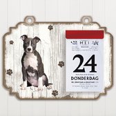 Scheurkalender 2023 Hond: American staffordshire terrier