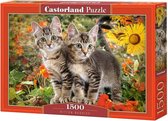 Castorland Puzzel Kitten Buddies - 1500 Stukjes