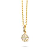 Silver Rose -P6103G -Hanger+Ketting -925 Zilver 14 karat verguld -Cubic Zirkonia