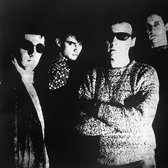 Television Personalities - The Painted Word (CD)