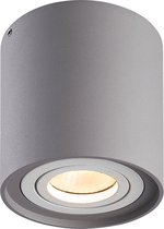 Dimbare LED Opbouwspot plafond Ray Grijs/Wit IP20 kantelbaar 5W 2700K