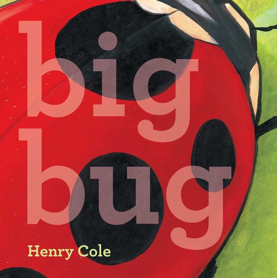 Big Bug - cover