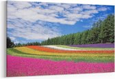 Schilderij - Bloemenveld — 100x70 cm