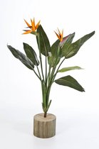 Strelitzia Nicolai in Ribbed Cody grijs | Paradijsvogelplant