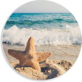 Forex Wandcirkel - Zeester op het Strand met Zee op Achtergrond  - 30x30cm Foto op Wandcirkel (met ophangsysteem)