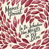 Digitaal luisterboek