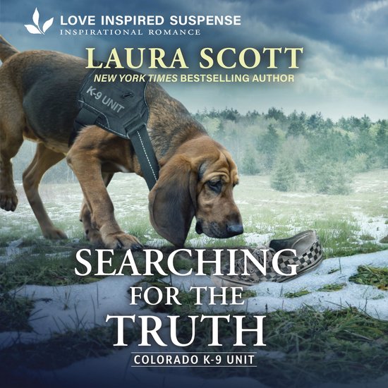 Searching for the Truth - cover