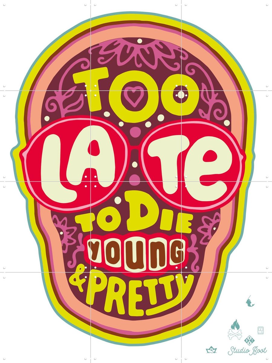 IXXI Too late to die young & pretty pink, Studio Boot - 60 x 80 cm - Gratis ophangtool - Grote wanddecoratie en posters - Grafisch Ontwerp, Kleurrijk