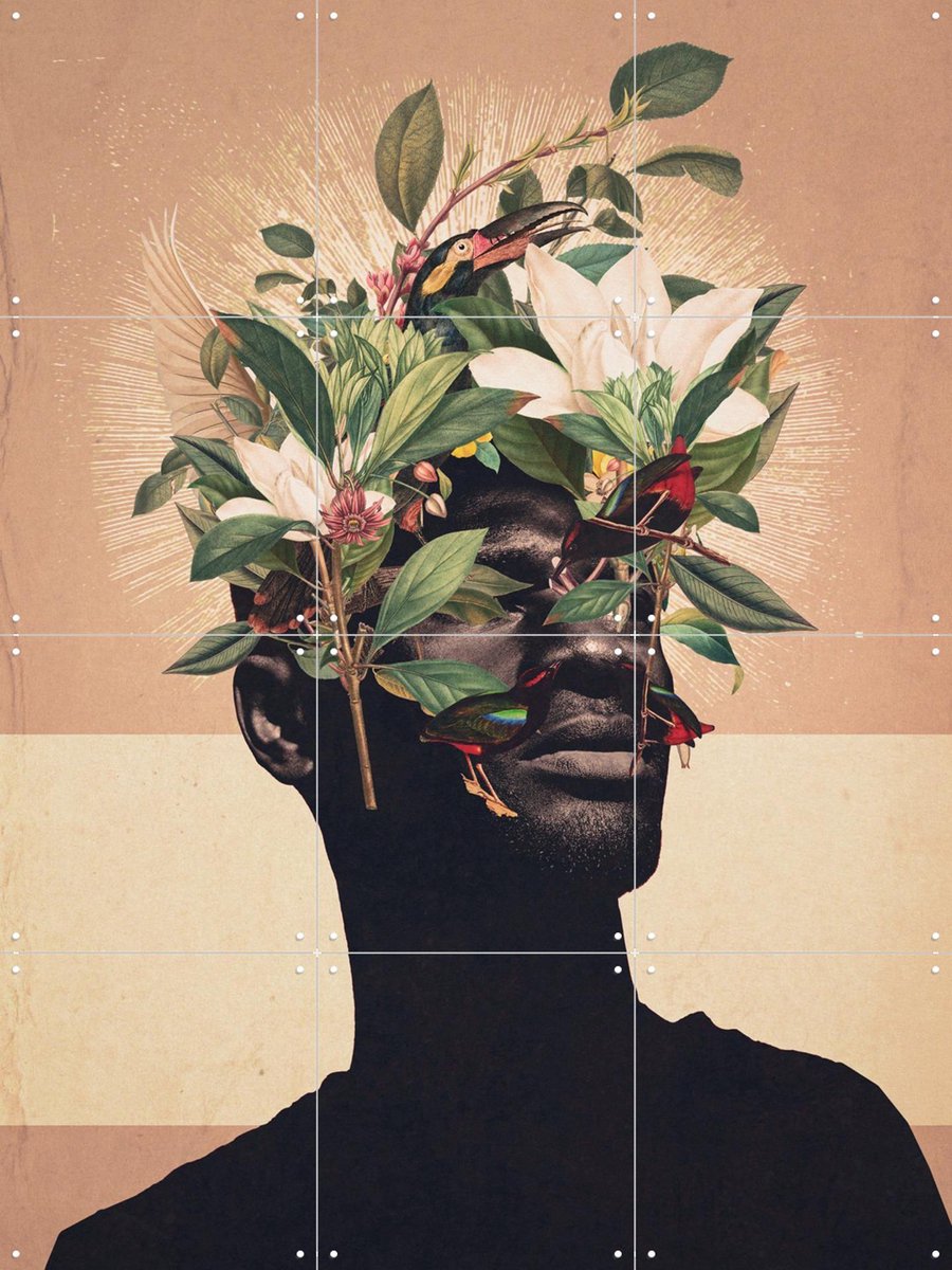 IXXI Birds are my real Origin, Frank Moth - 60 x 80 cm - Gratis ophangtool - Grote wanddecoratie en posters - Surrealisme, Digitale Kunst, Collage