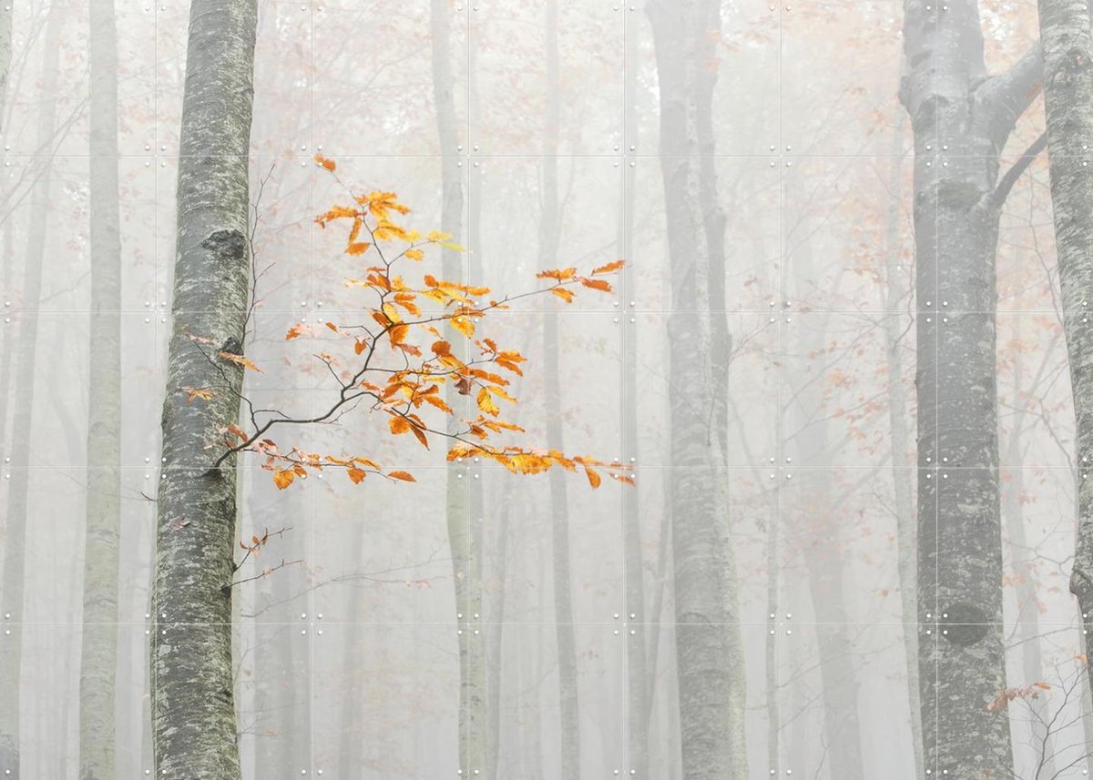IXXI Autumn 2020, Aglioni Simone & Various - 140 x 100 cm - Gratis ophangtool - Grote wanddecoratie en posters - Fotografie, Woonkamer, Slaapkamer