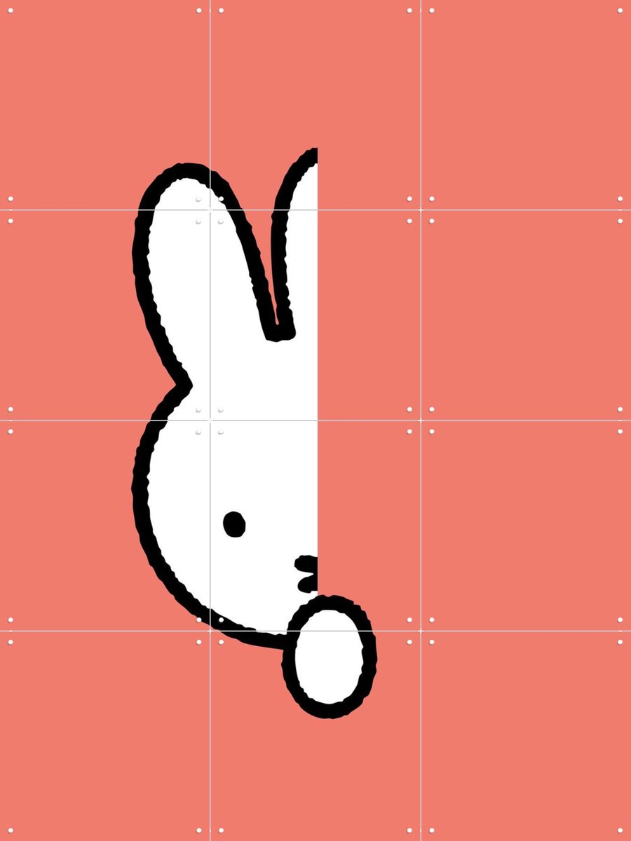 IXXI Nijntje Verstoppertje Koraal, Nijntje - 60 x 80 cm - Gratis ophangtool - Grote wanddecoratie en posters - Speels, Minimalisme, Grafisch Ontwerp