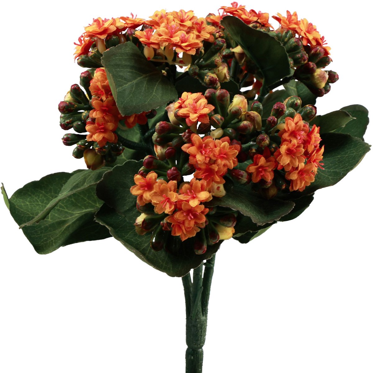 Viana Flaming Käthchen Kalanchoë kunst oranje 24cm