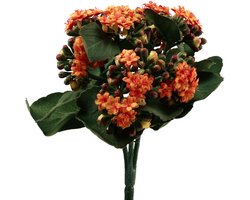 Flaming Käthchen Kalanchoë kunst oranje 24cm