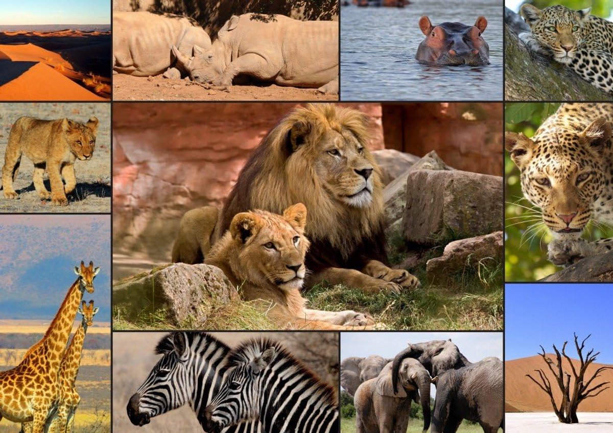 Uitdagende Puzzel Collage Dieren en Natuur - 1500 Stukjes