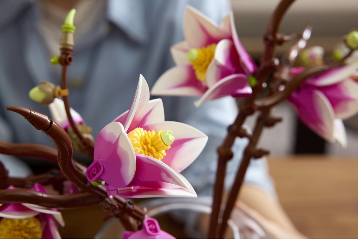 LEGO Botanicals Magnoliatakken - 11510 — afbeelding 11