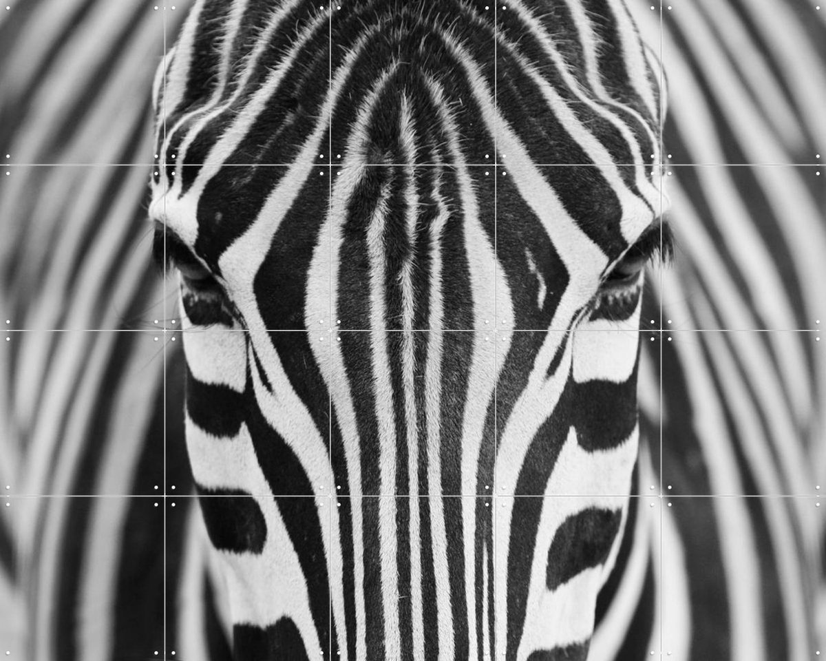 IXXI Zebra, Various - 100 x 80 cm - Gratis ophangtool - Grote wanddecoratie en posters - Fotografie, Slaapkamer, Woonkamer, Kinderkamer, Natuur, Wilde