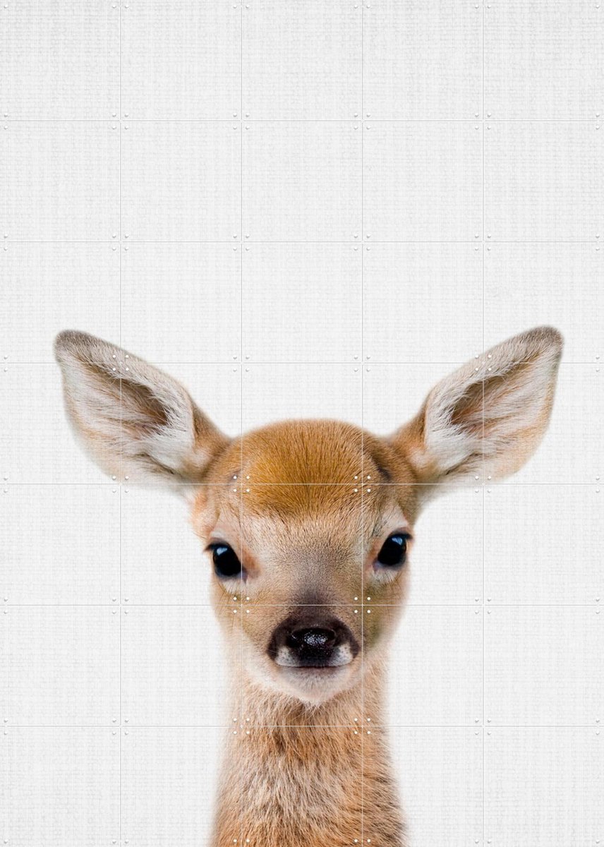 IXXI Roe, Lila + Lola - 100 x 140 cm - Gratis ophangtool - Grote wanddecoratie en posters - Grafisch Ontwerp, Minimalisme, Fotografie, Kinderkamer
