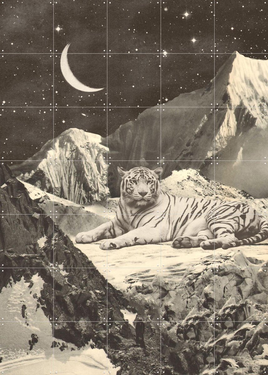 IXXI Giant White Tiger, Florent Bodart - 100 x 140 cm - Gratis ophangtool - Grote wanddecoratie en posters - Illustraties, Surrealisme, Vintage