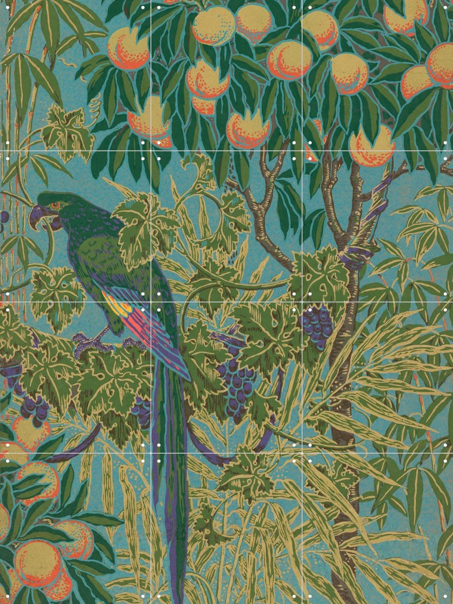 IXXI Macaw, Walter Crane & Victoria and Albert Museum - 60 x 80 cm - Gratis ophangtool - Grote wanddecoratie en posters - Klassiek, Illustraties