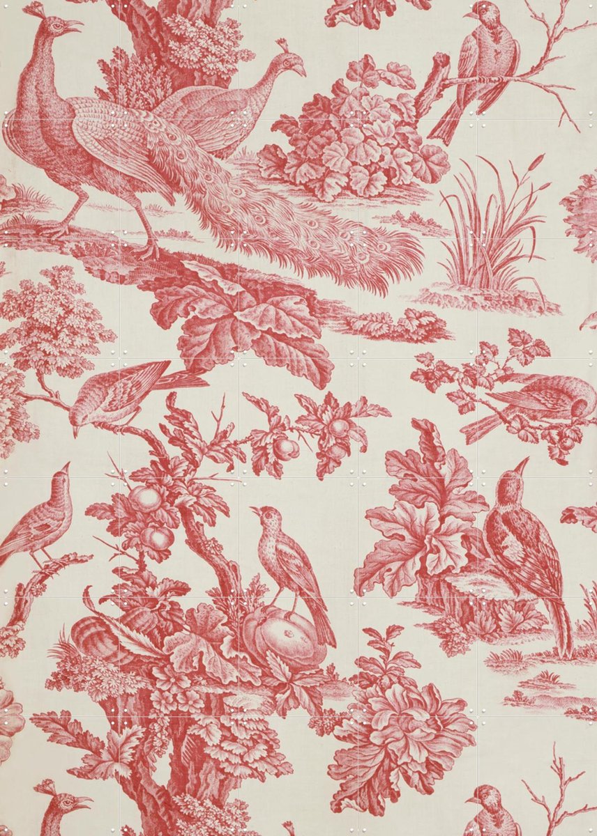 IXXI Birds and Fruit, Victoria and Albert Museum - 100 x 140 cm - Gratis ophangtool - Grote wanddecoratie en posters - Vintage, Klassiek, Houtsnede