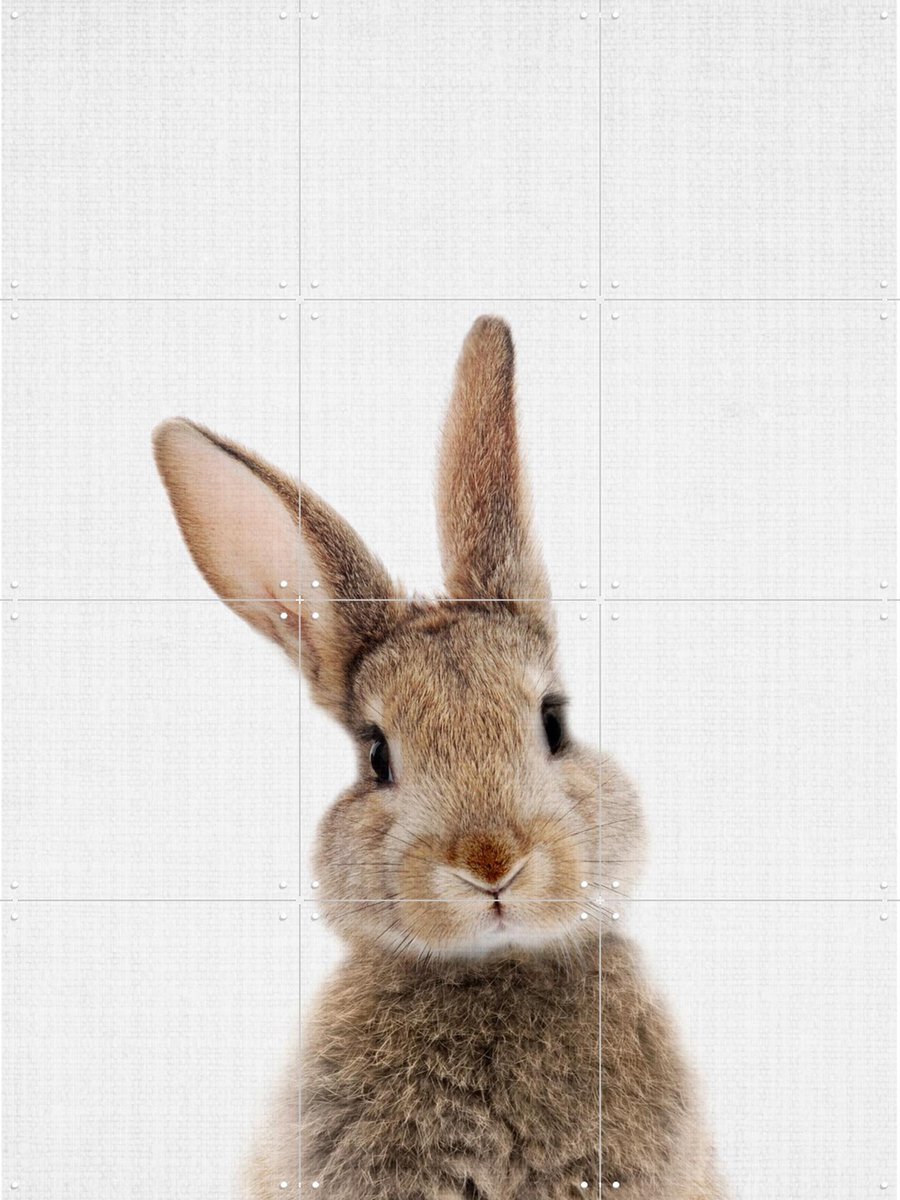 IXXI Print 315 Rabbit, Lila + Lola - 60 x 80 cm - Gratis ophangtool - Grote wanddecoratie en posters - Speels, Illustraties, Fotografie, Woonkamer