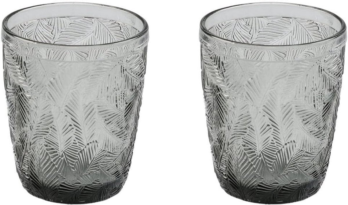 Drinkglazen Set - Glazen Set - Dagelijks Gebruik - Gegroefd Bladmotief - 300 ml - Grijs