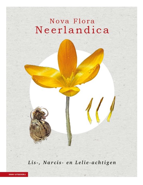 Nova Flora Neerlandica 3 - Nova Flora Neerlandica deel 3 - L ... - cover