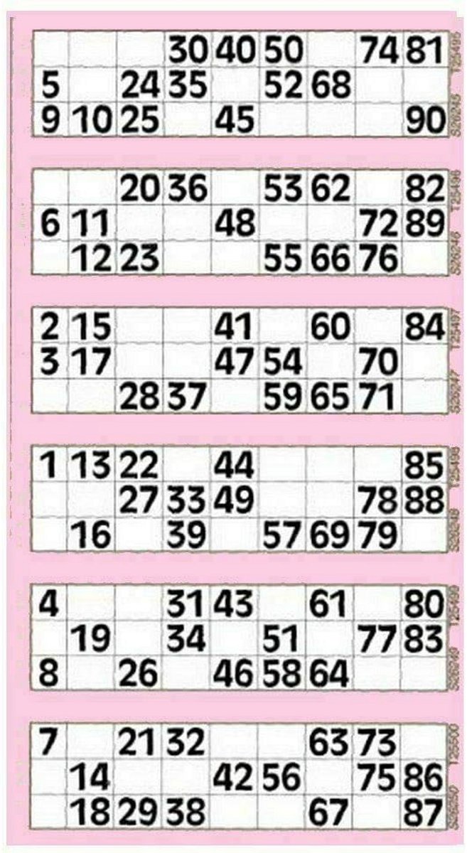 Bingokaarten 6000 Loterij Tickets Roze met Unieke Nummers