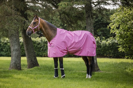 BUCAS FREEDOM TURNOUT LIGHT REGENDEKEN 0GR Rose