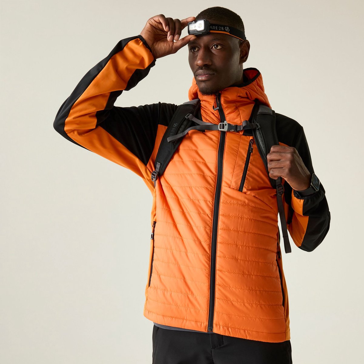 Dare2B Mountaineer Softshell gewatteerde jas voor heren Zwart