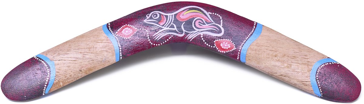 Boemerang Frog – Speelse 40 cm Houten Boemerang met Kikkerdesign