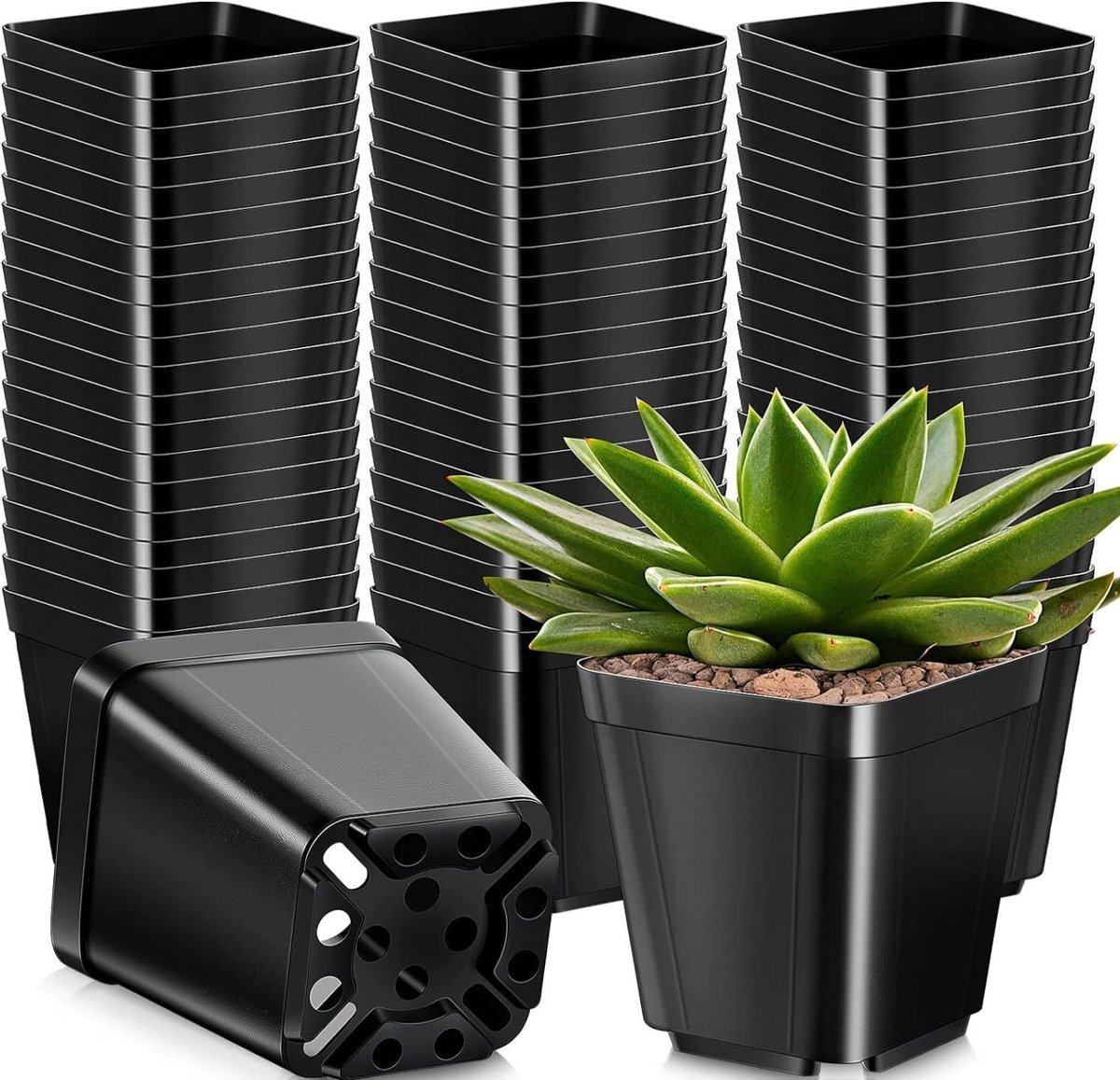 Vierkante Plantenpotten 10 cm - 50 Stuks, Dik Plastic, Met Drainagegaten - Zwart