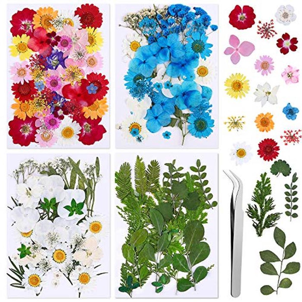 134 Stuks Echte Gedroogde Geperste Bloemen voor DIY Hars Sieraden en Kunstprojecten