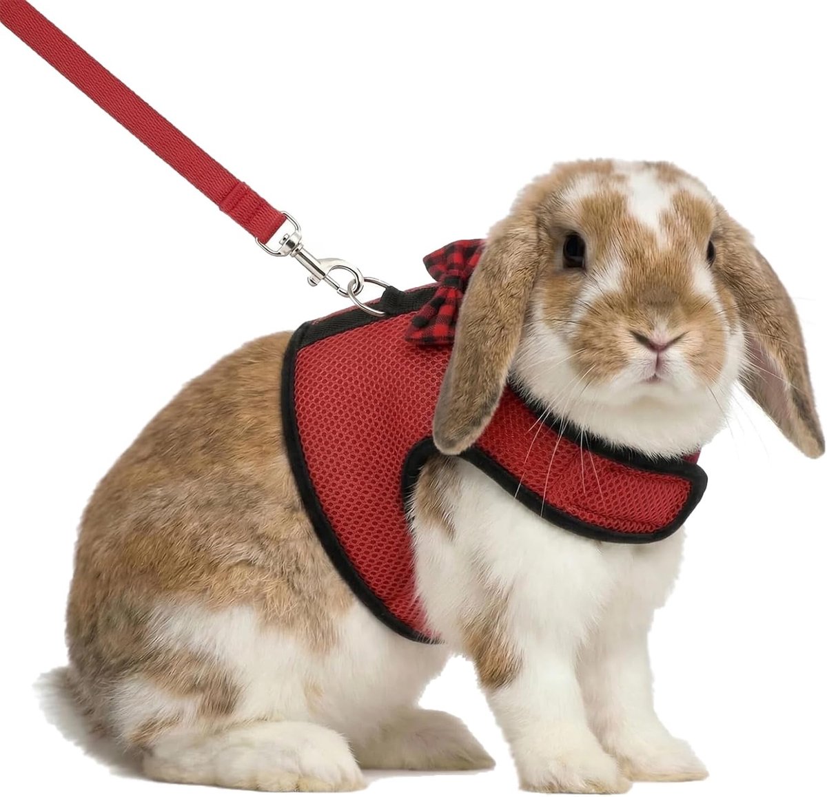 Riemset voor konijnen en kittens — Anti-trek kattentuigje, ontworpen voor kleine huisdieren; verstelbaar, zacht en ademend (Rood, Maat M: Borstomvang 25–32 cm)