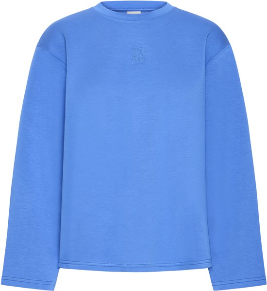 Zeagoo Shirt met lange mouwen voor dames, casual bovenstuk, herfst, ronde hals, T-shirt, longsleeve pullover, basic, top, effen, business, longshirt, S-XXL, zwart, L