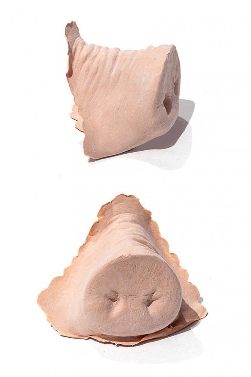 PXP Latex varkensneus