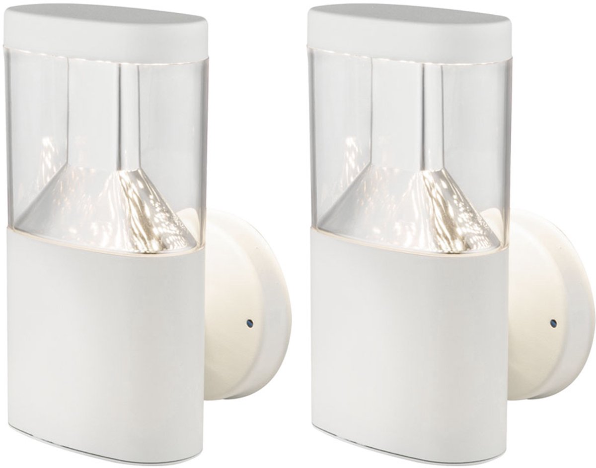 Globo Wandlamp outdoor wandlamp roestvrij staal LED tuinlamp outdoor wit, 7W 450lm warm wit, H 23 cm, set van 2