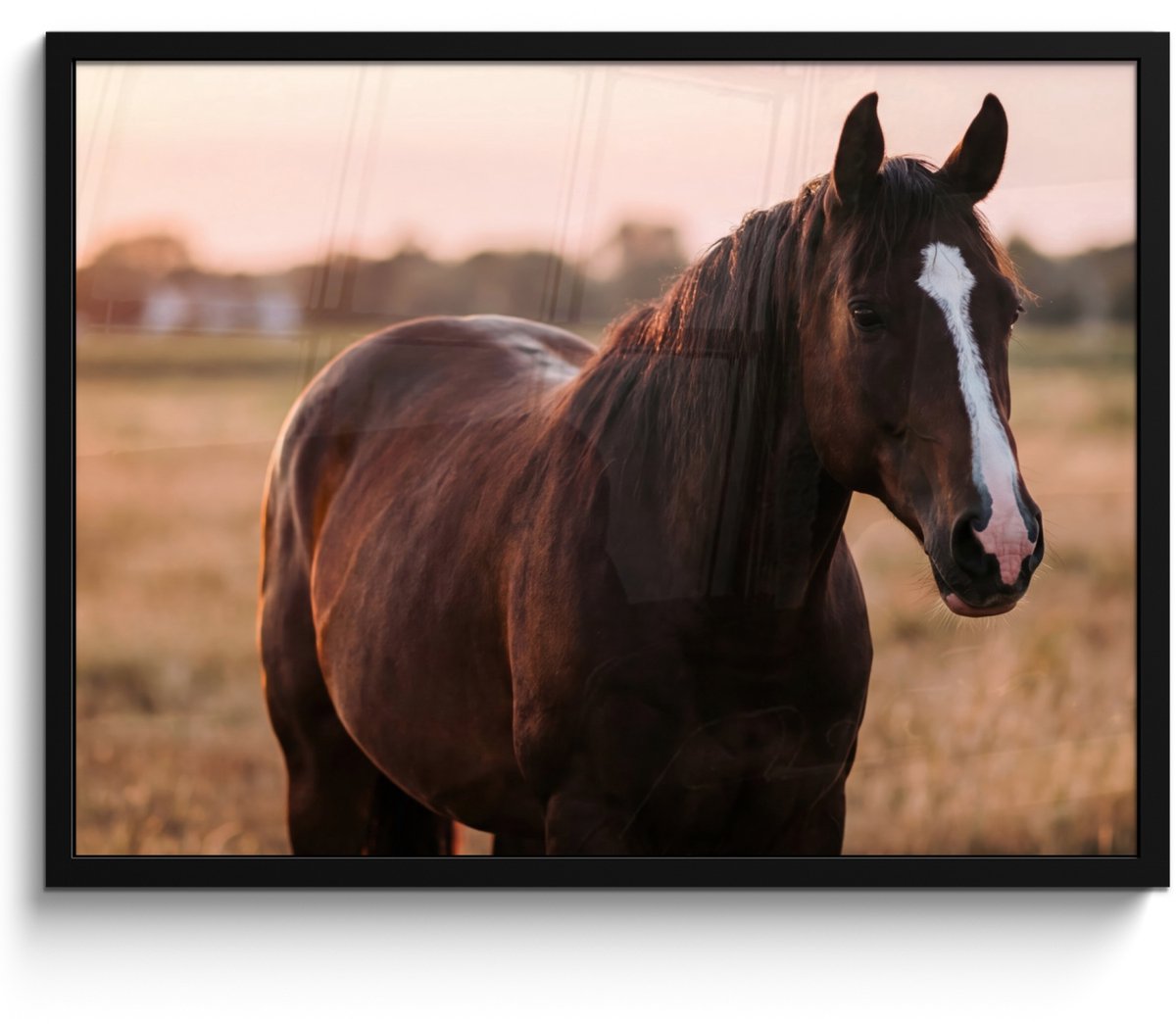 FrameYourWall Poster in lijst - Fotolijst 80x60 cm - Posters - Paard - Zonsondergang - Bruin - Posterlijst zwart - Decoratie - Wanddecoratie woonkamer - Muurdecoratie slaapkamer Multicolor