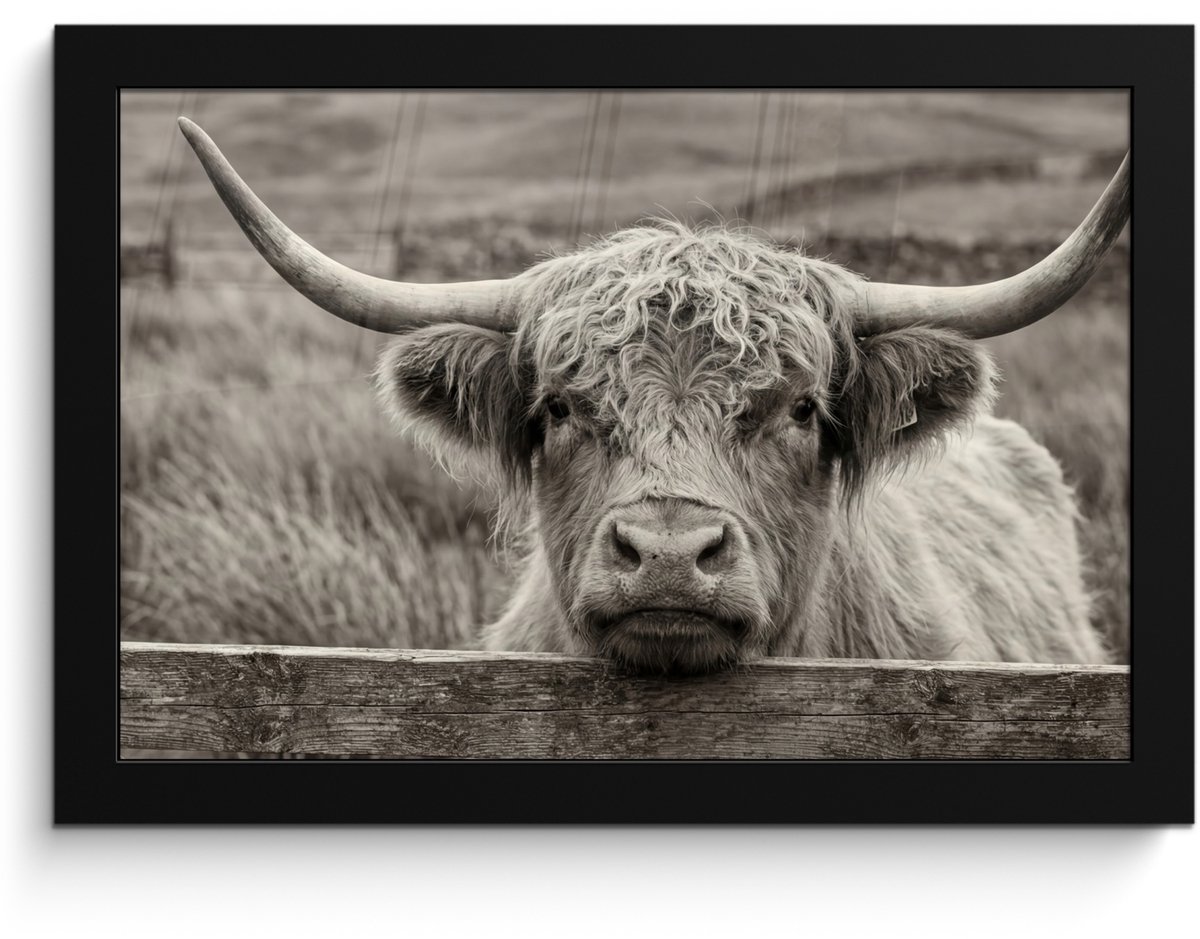 FrameYourWall Poster in lijst - Fotolijst 30x20 cm - Posters - Schotse hooglander - Zwart - Wit - Hout - Posterlijst zwart - Decoratie - Wanddecoratie woonkamer - Muurdecoratie slaapkamer