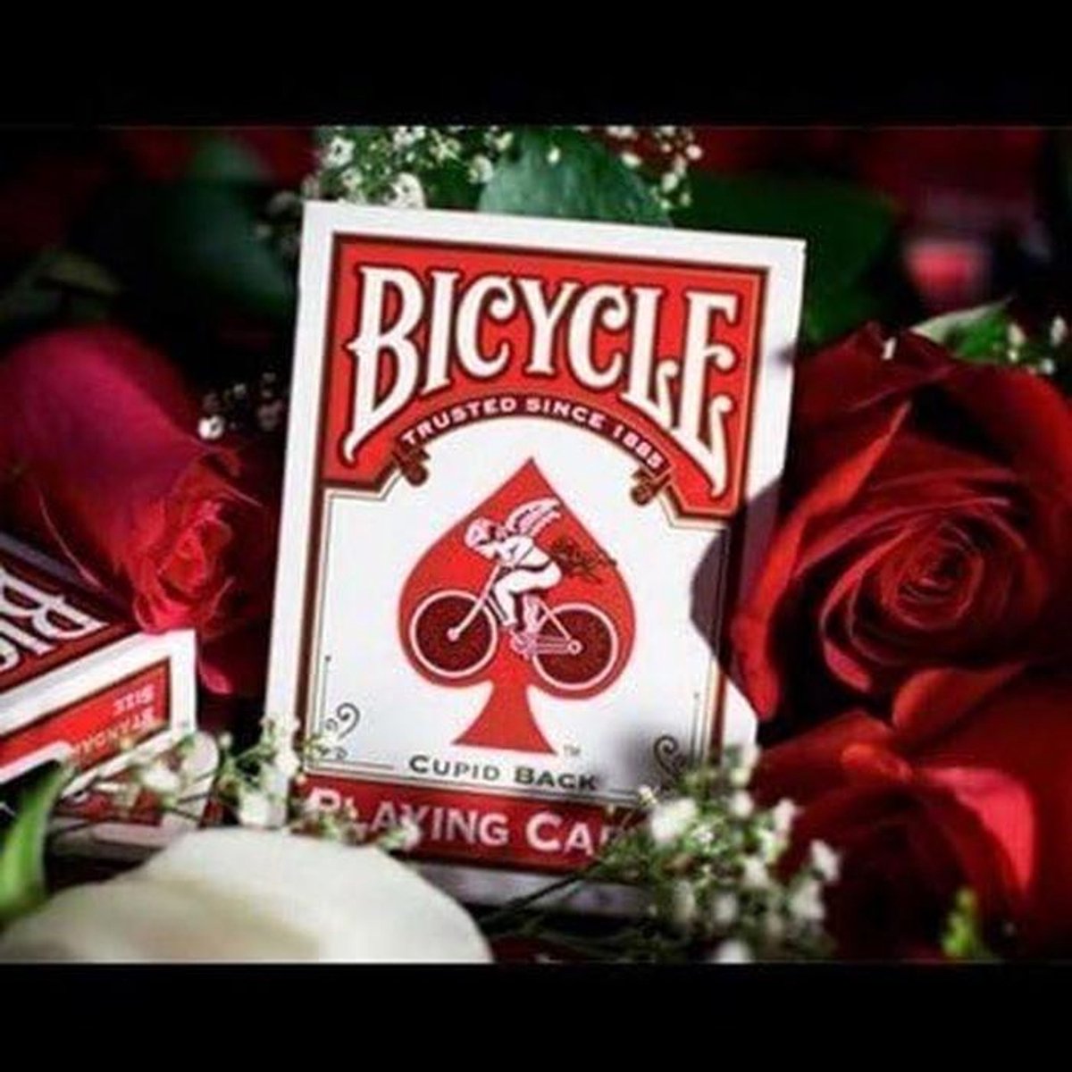 Vintage Fiets Speelkaarten Set - Klassiek Rood Achterkant Design