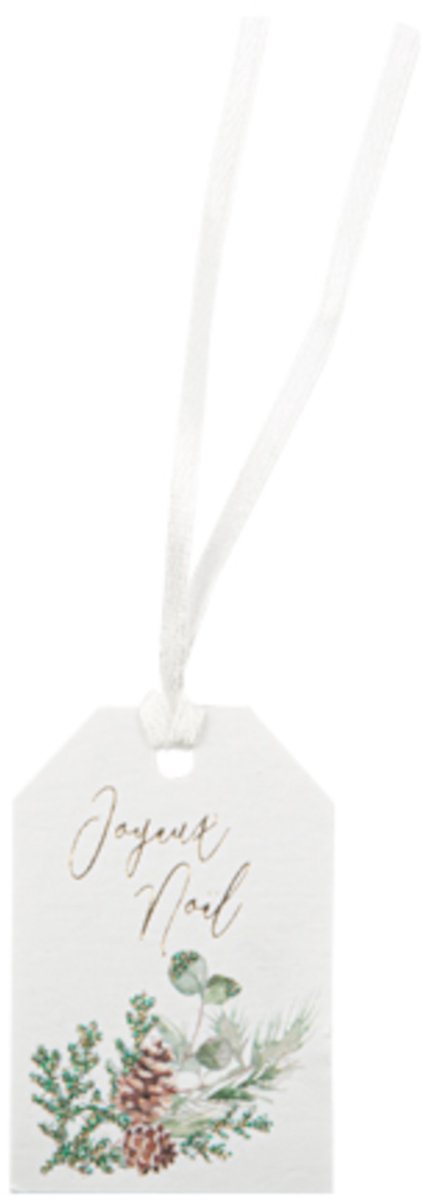 ARTYFETES - 8 vrolijke kerstmis betoverd bos etiketten 4 x 6cm met lint