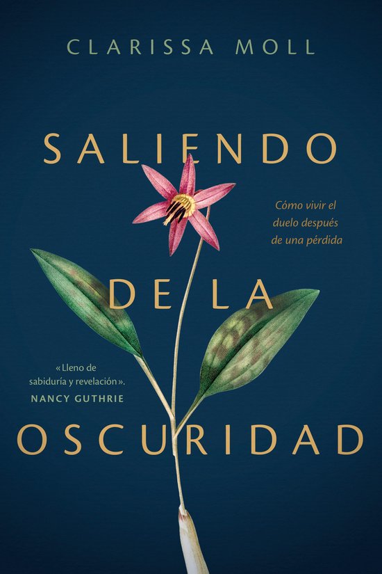 Saliendo de la oscuridad - cover